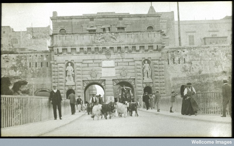 Porta_Reale