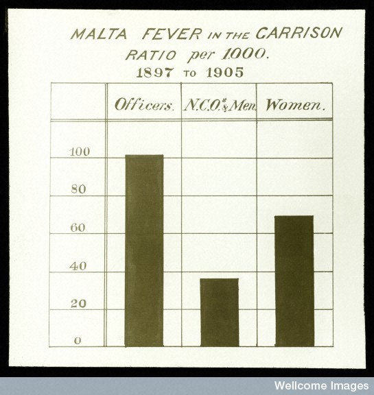 Malta_Fever_in_Garrison_Stats